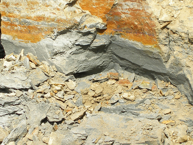 膨潤土 蒙脫石 膨潤土 蒙脫石.jpg